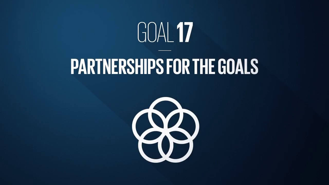 SDG 17: Partnership for the Goals